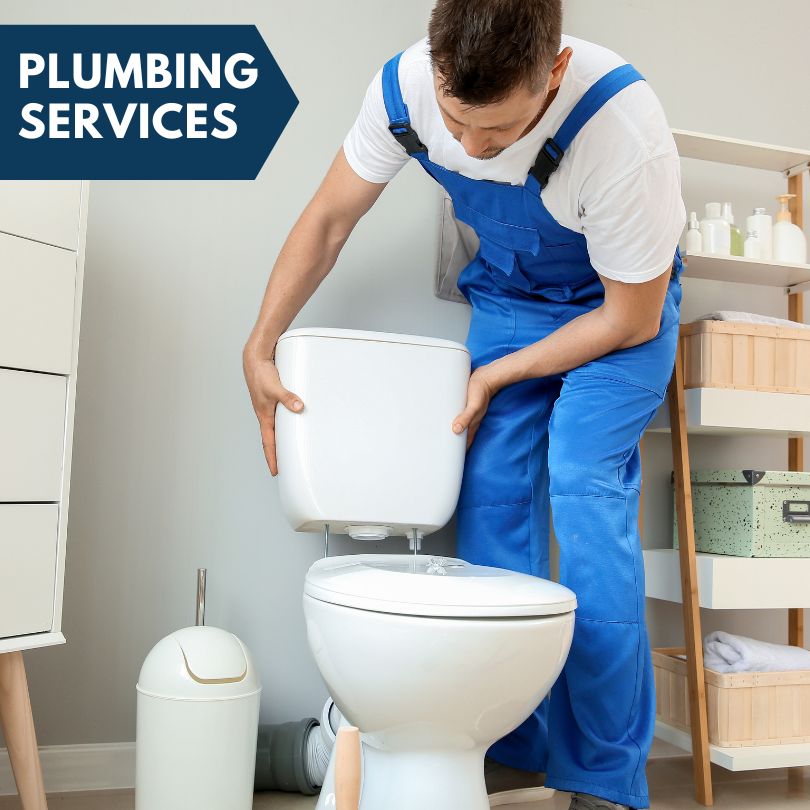 Plumbing Company in Hopkins, MI